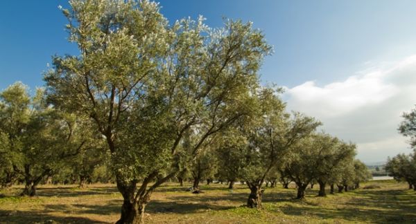 ΓΕΝΙΚΗ ΟΔΗΓΙΑ ΑΡΔΕΥΣΗΣ Νο14