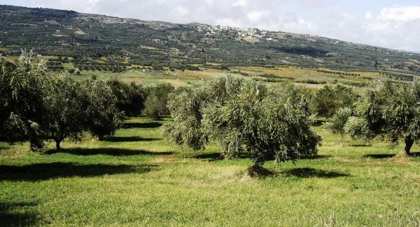 ΓΕΝΙΚΗ ΟΔΗΓΙΑ ΑΡΔΕΥΣΗΣ Νο12