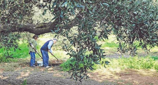 Η άποψη των Οργανώσεων Παραγωγών για τη λειτουργία τους!