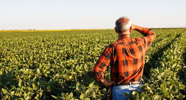 Λεπτομέρειες για την εφαρμογή του Ν 4935/2022 για τη μείωση κατά 50% στη φορολογία συνεταιρισμένων αγροτών